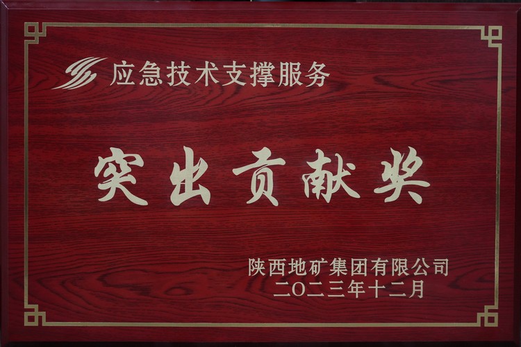 喜報 地災(zāi)應(yīng)急排查隊漢中支隊榮獲集團公司突出貢獻獎